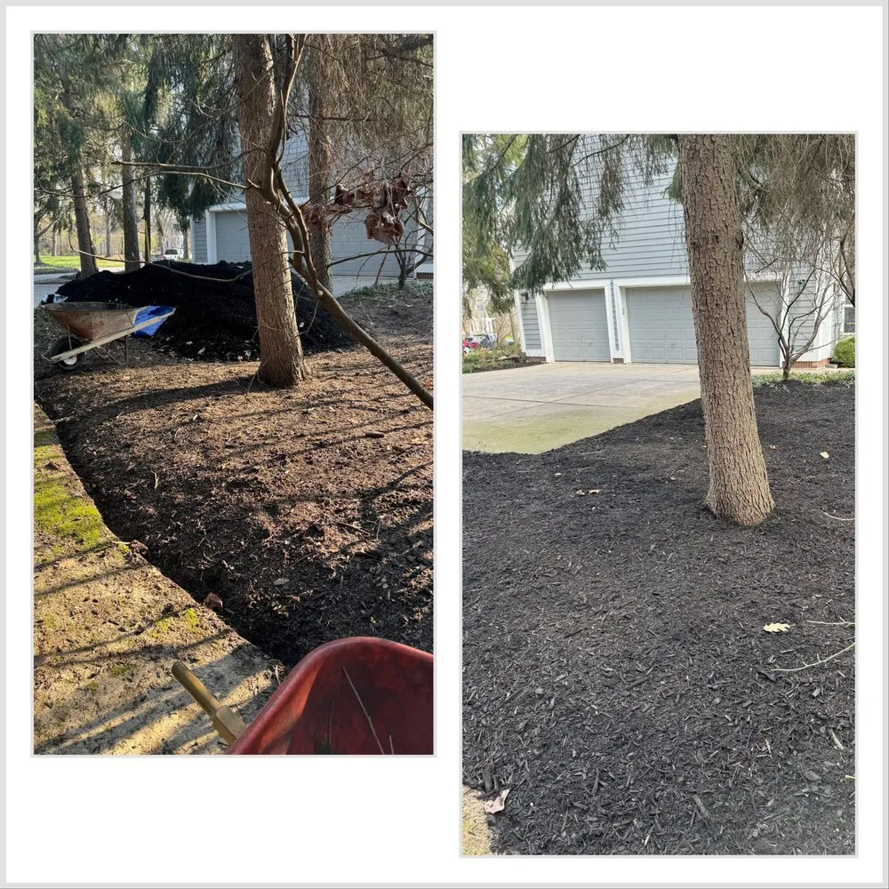 Professional yard maintenance experts serving Fishers, IN - Torres Landscaping