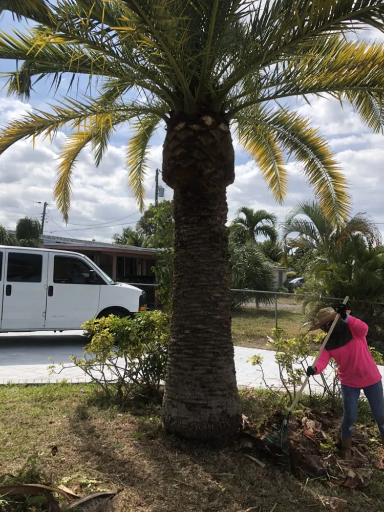 Professional lawn mowing service experts serving Fort Lauderdale, FL - Torres Landscaping Maintenance