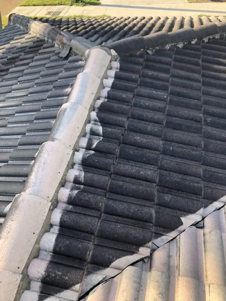 Top-rated yard cleanup service experts serving Fort Lauderdale, FL - Torres Landscaping Maintenance