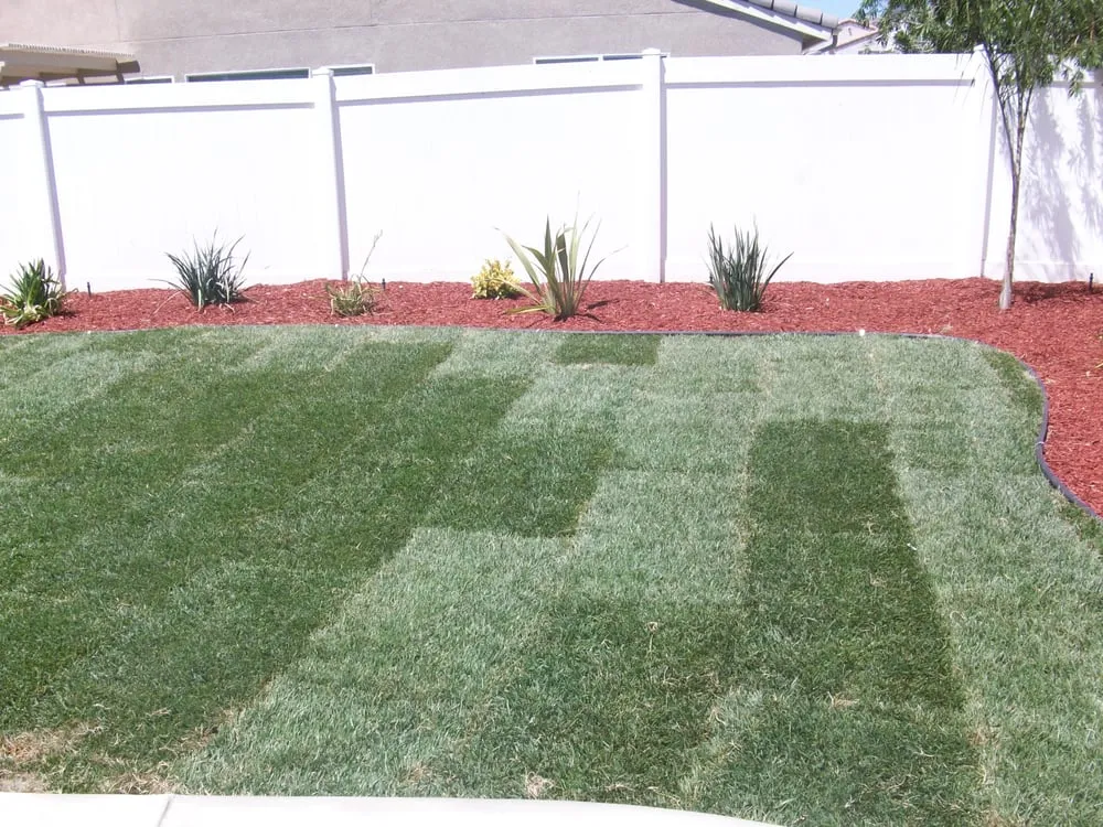 Custom lawn care service in Perris, CA by Torres Landscaping
