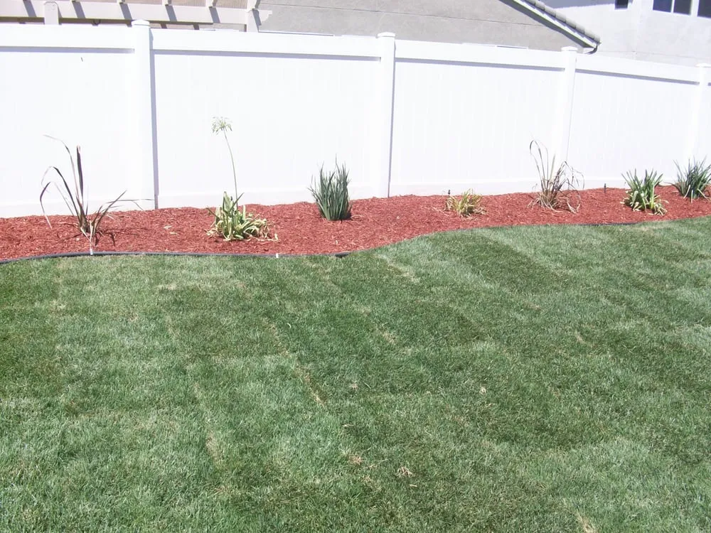 Custom lawn care service experts serving Perris, CA - Torres Landscaping
