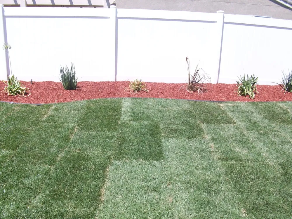 Top-rated landscape installation experts serving Perris, CA - Torres Landscaping
