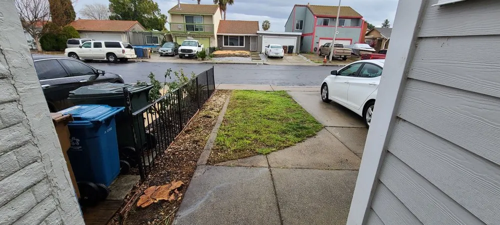 Professional lawn care service in Pittsburg, CA - Torres Landscaping