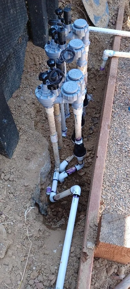 Expert landscaping services in Pittsburg, CA - Torres Landscaping