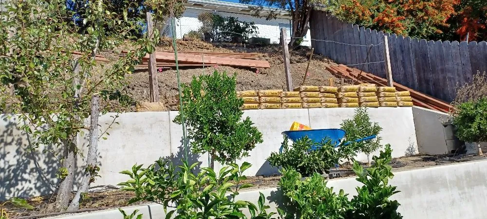 Affordable lawn care service in Pittsburg, CA - Torres Landscaping