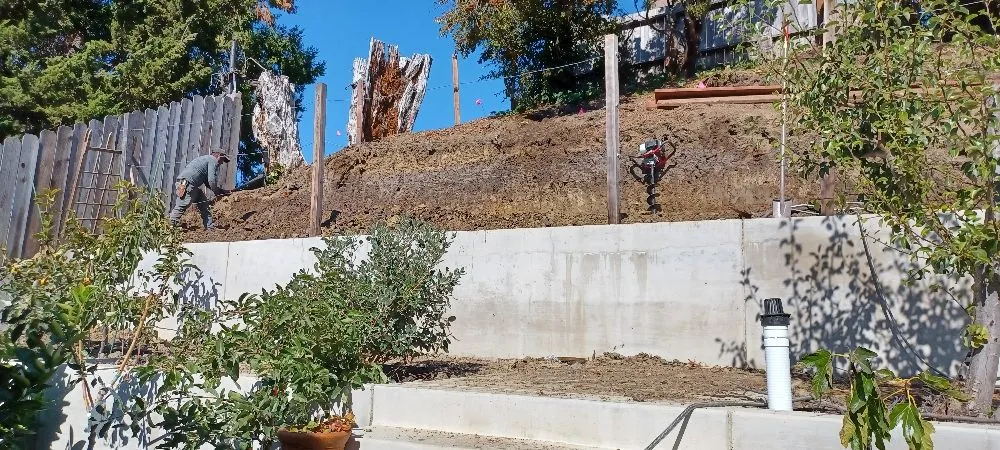 Affordable yard maintenance near you in Pittsburg, CA by Torres Landscaping