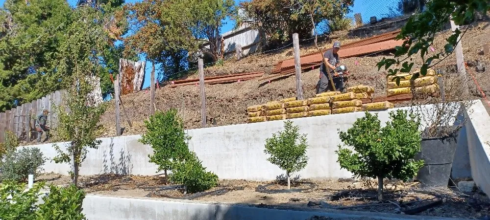 Expert lawn mowing service near you in Pittsburg, CA by Torres Landscaping