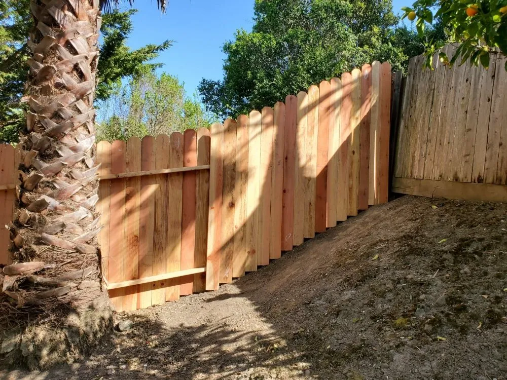 Custom yard cleanup service in Pittsburg, CA by Torres Landscaping
