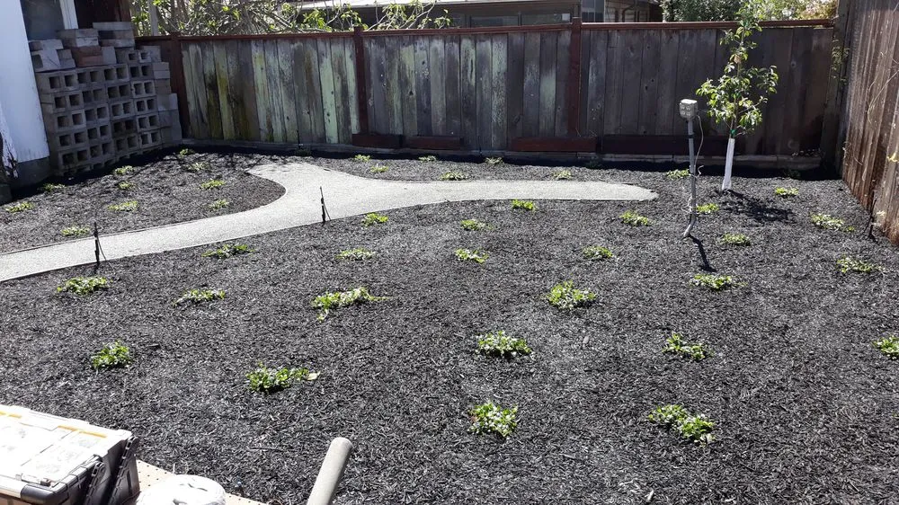 Affordable landscape installation experts serving Pittsburg, CA - Torres Landscaping