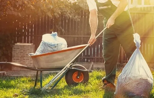 Professional residential landscaping for year-round maintenance in Raleigh, NC by Torres Landscaping