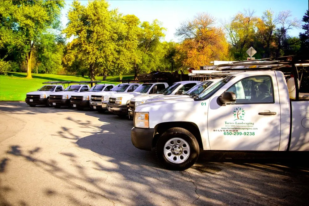 Local lawn care service in Redwood City, CA by Torres Landscaping