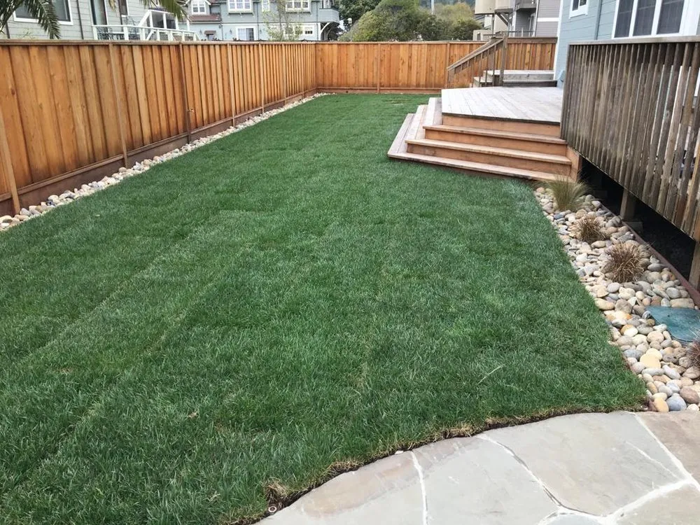 Expert landscaping services for beautiful yards across Redwood City, CA - Torres Landscaping