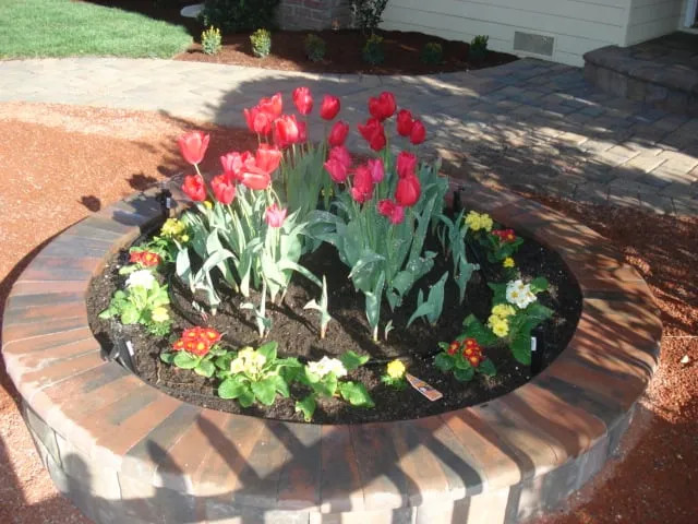 Reliable yard maintenance in Redwood City, CA by Torres Landscaping