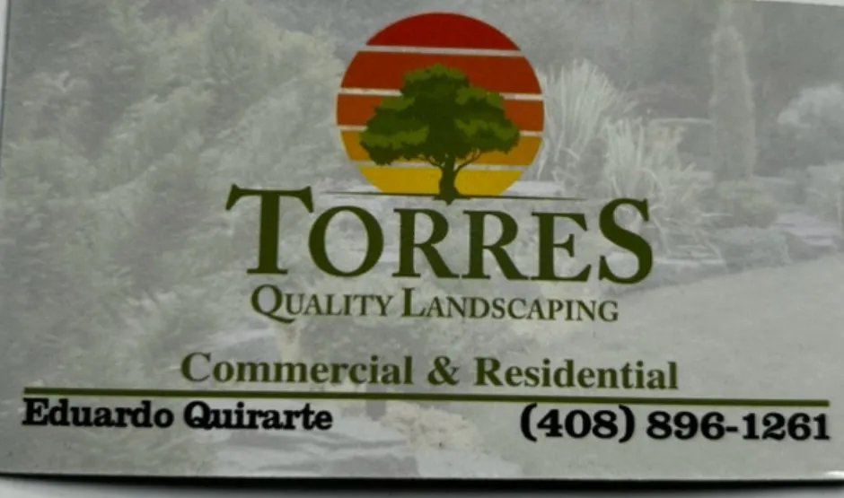 Reliable landscaping services with custom design in San Jose, CA by Torres Landscaping