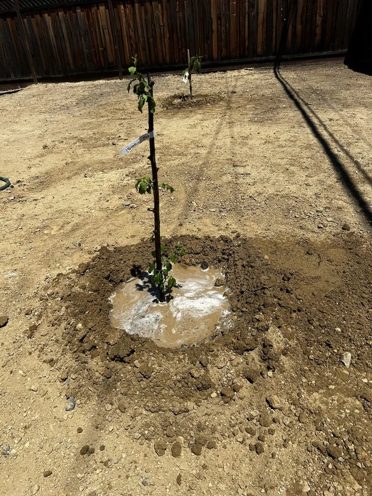 Local landscape installation in San Jose, CA - Torres Landscaping