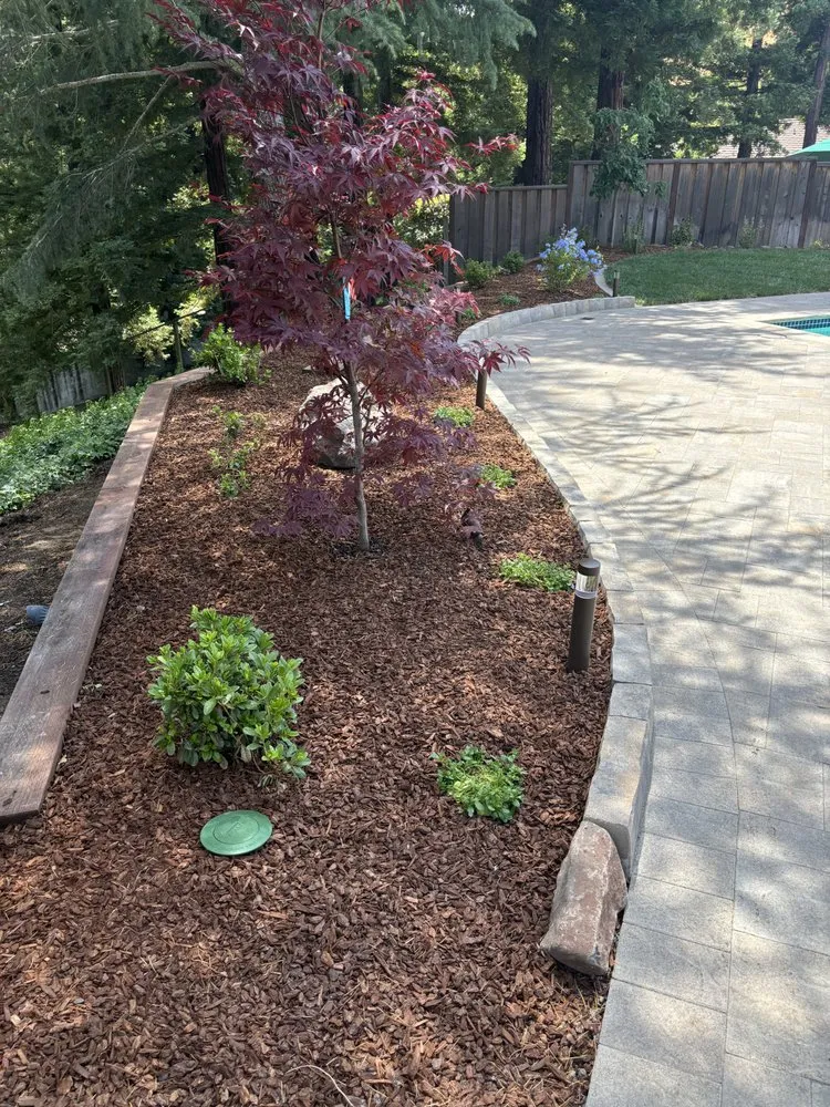 Professional lawn care service in San Leandro, CA - Torres Landscaping