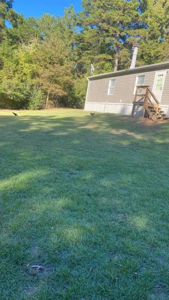 Local landscaping services in Tyler, TX - Torres Landscaping