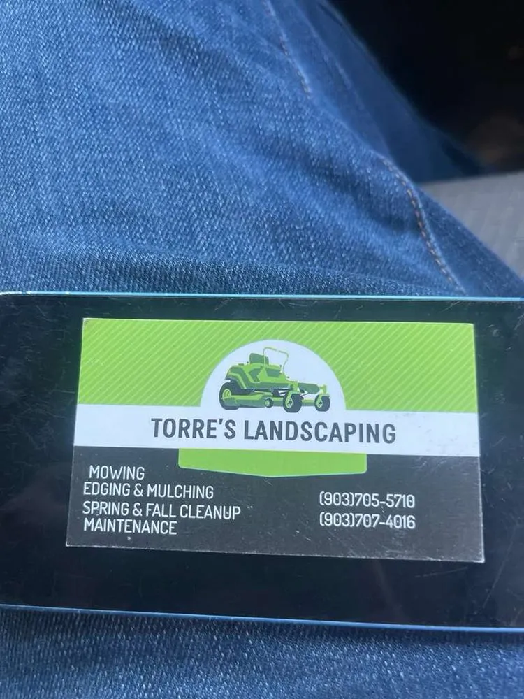 Professional landscape installation for year-round maintenance across Tyler, TX - Torres Landscaping
