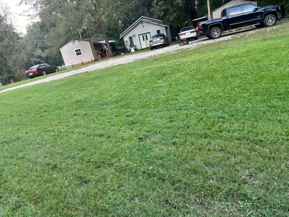 Trusted landscape design for beautiful yards across Tyler, TX - Torres Landscaping