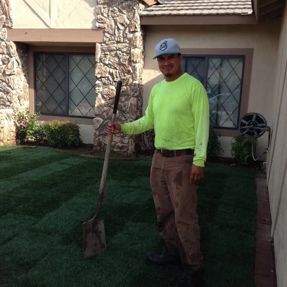 Top-rated yard cleanup service in Vista, CA by Torres Landscaping