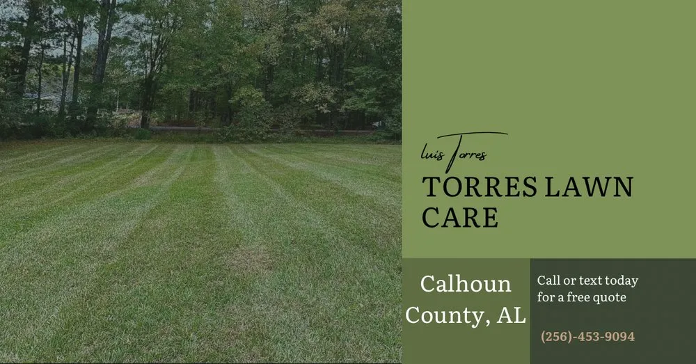 Top-rated yard cleanup service in Alexandria, AL - Torres Lawn Care