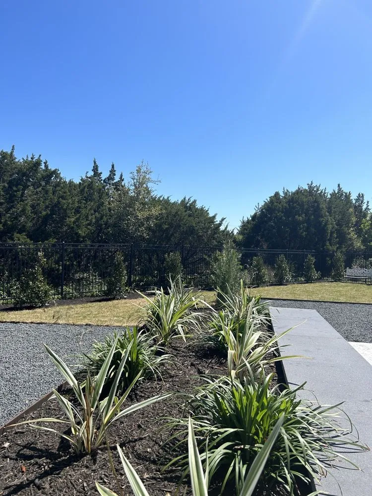 Professional lawn care service in Bastrop, TX by Torres Lawn Care