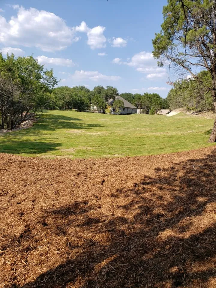 Reliable landscaping services for outdoor upgrades in Bastrop, TX by Torres Lawn Care