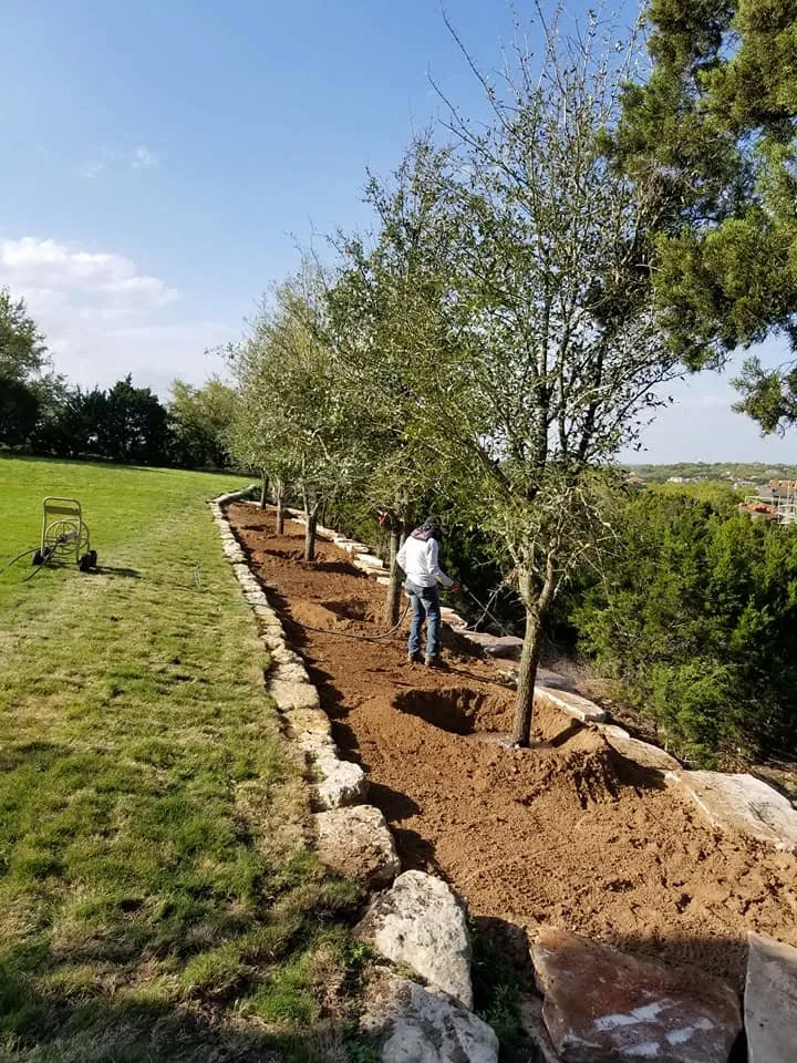 Expert landscaping services in Bastrop, TX by Torres Lawn Care