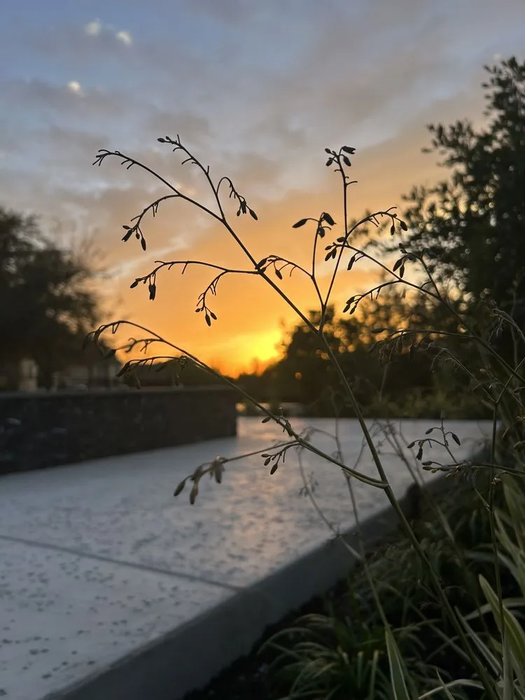 Top-rated lawn care service for year-round maintenance in Bastrop, TX by Torres Lawn Care