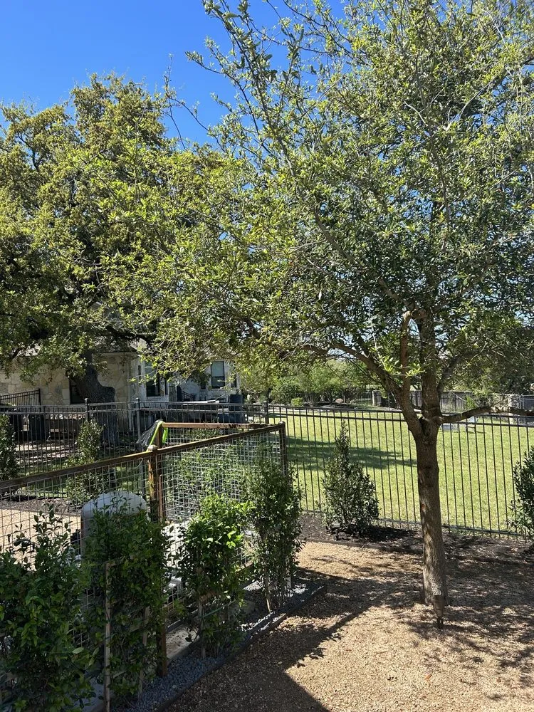 Professional outdoor landscaping for homes across Bastrop, TX - Torres Lawn Care