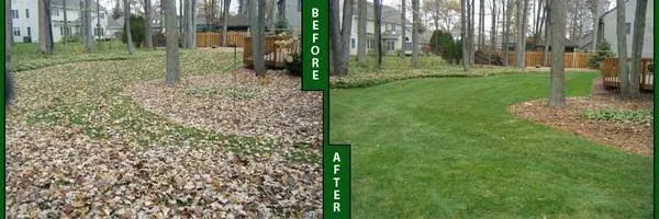 Expert outdoor landscaping experts serving Lake Wales, FL - Torres Lawn care