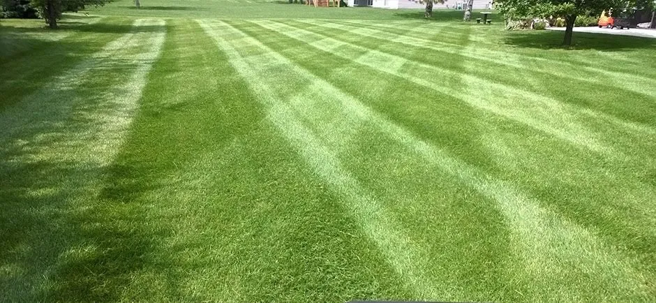 Affordable lawn care service experts serving Lake Wales, FL - Torres Lawn care