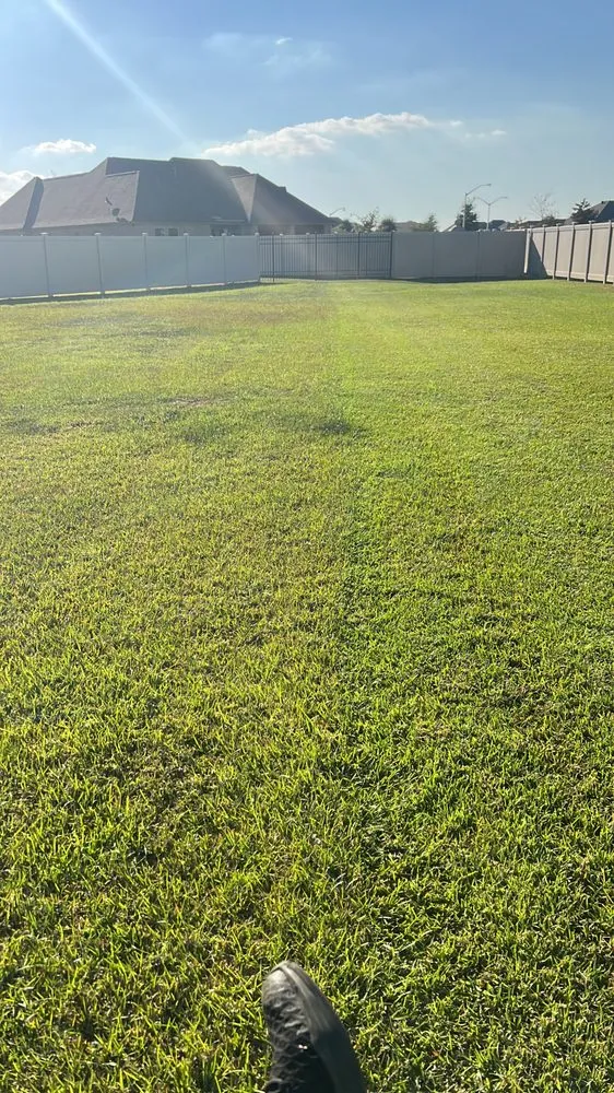 Top-rated landscape design for homes in Metairie, LA by Torres Lawn Care