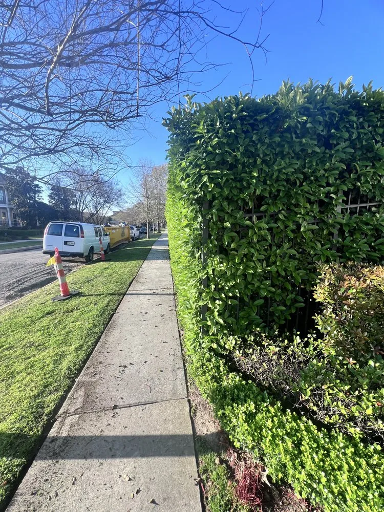 Reliable garden landscaping for outdoor upgrades across Metairie, LA - Torres Lawn Care