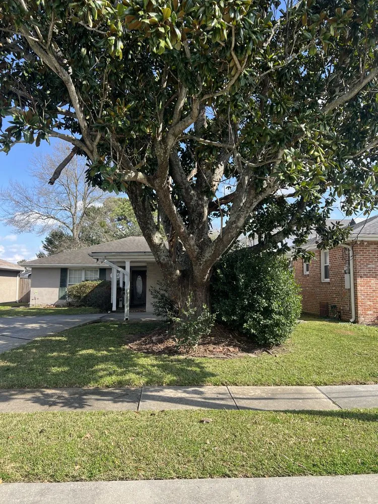 Custom landscaping services in Metairie, LA - Torres Lawn Care