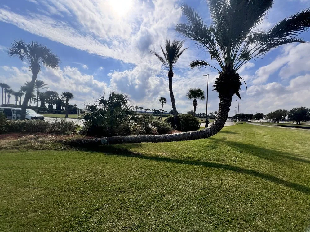 Local landscaping services near you in Metairie, LA by Torres Lawn Care