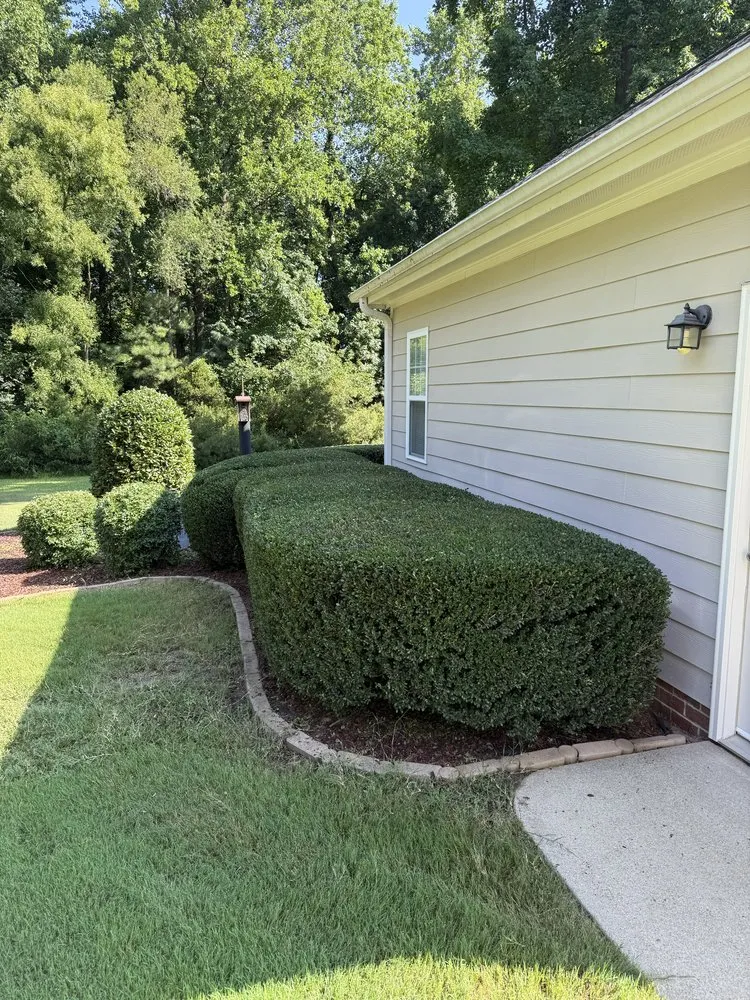 Affordable garden landscaping in Raleigh, NC - Torres Lawn Maintenance
