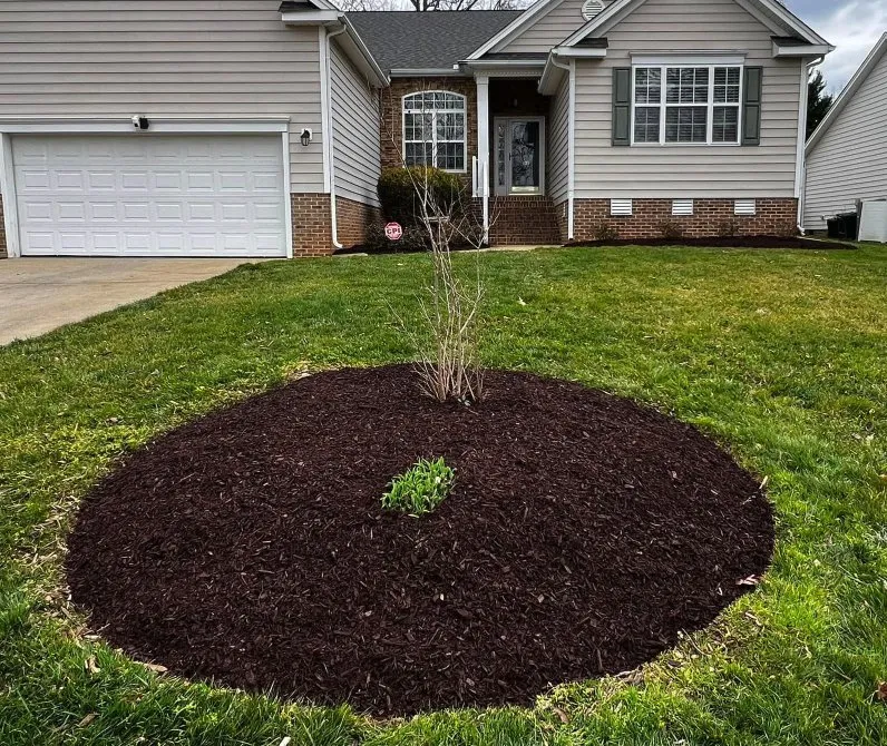 Trusted lawn care service for homes across Raleigh, NC - Torres Lawn Maintenance