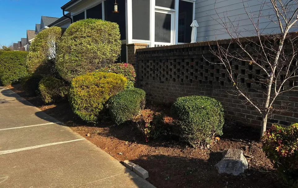 Trusted garden landscaping experts serving Raleigh, NC - Torres Lawn Maintenance