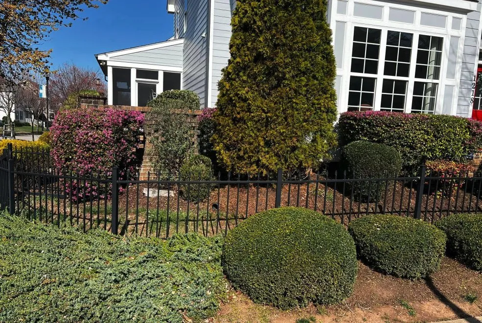 Reliable lawn care service experts serving Raleigh, NC - Torres Lawn Maintenance