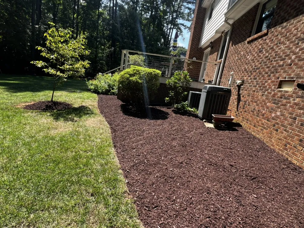 Top-rated yard cleanup service in Raleigh, NC by Torres Lawn Maintenance