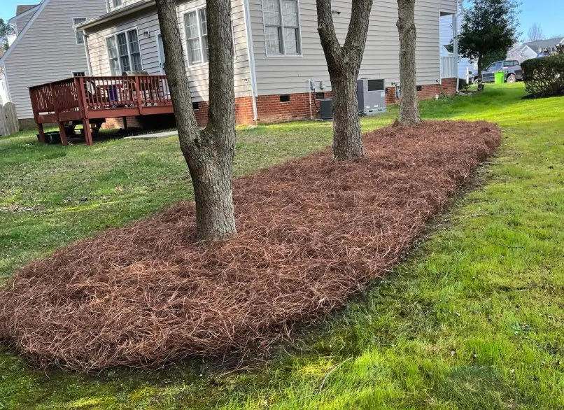 Professional lawn mowing service in Raleigh, NC - Torres Lawn Maintenance