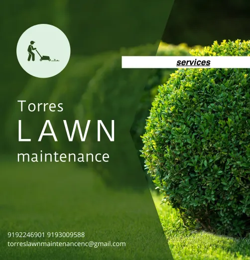 Expert lawn care service in Raleigh, NC by Torres Lawn Maintenance