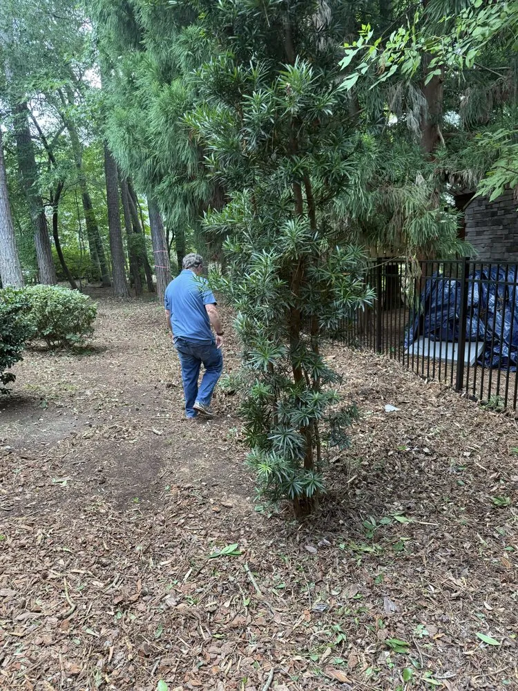 Custom outdoor landscaping in Raleigh, NC - Torres Lawn Maintenance