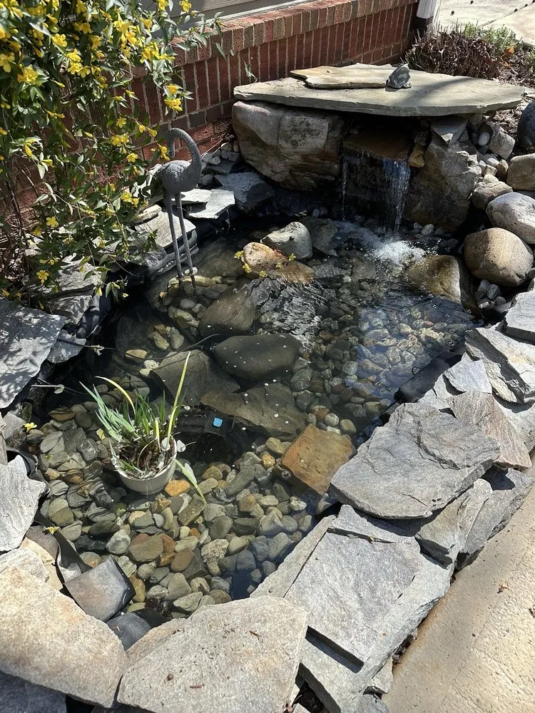 Reliable lawn care service for year-round maintenance across Raleigh, NC - Torres Lawn Maintenance