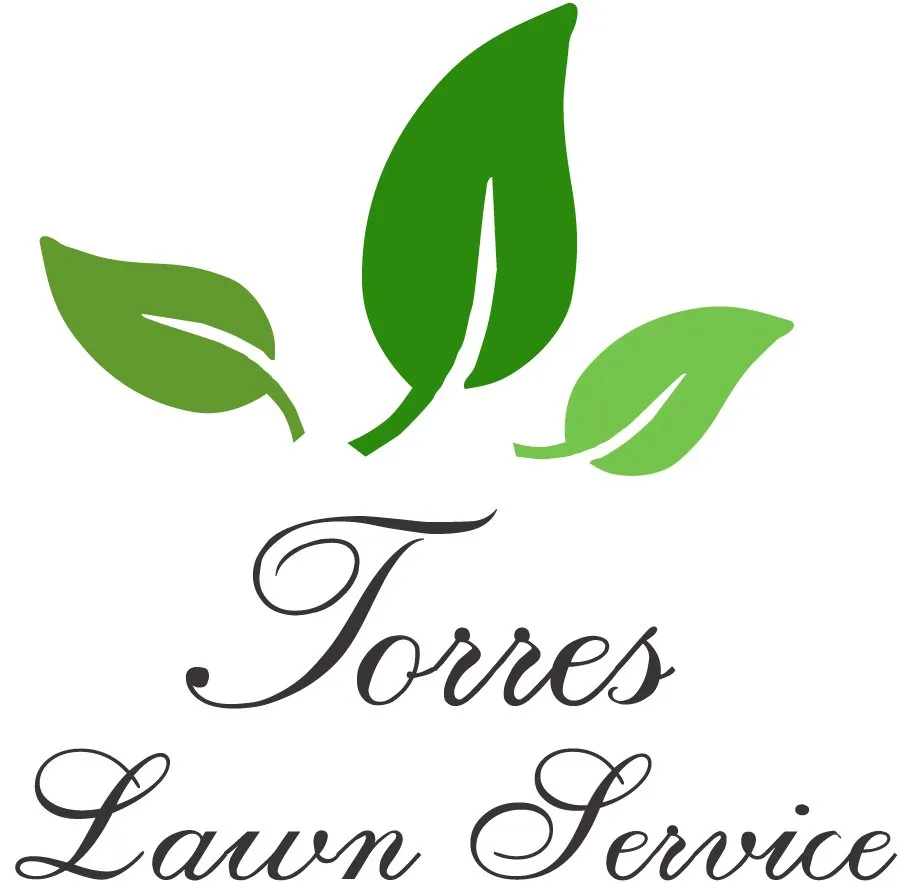 Custom yard maintenance for beautiful yards in Lewisville, TX by Torres Lawn service