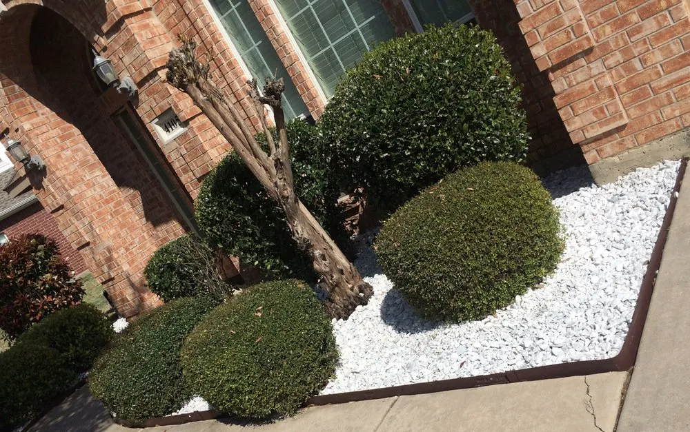 Expert landscape design for year-round maintenance in Lewisville, TX by Torres Lawn service