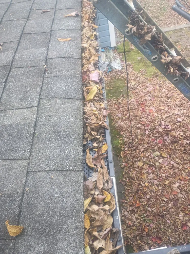 Reliable garden landscaping experts serving Asheville, NC - Torres Lawncare & More