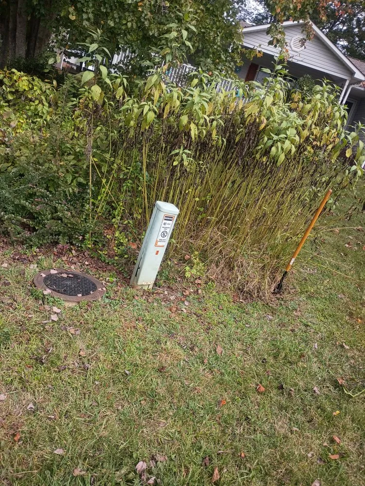 Top-rated garden landscaping for outdoor upgrades in Asheville, NC by Torres Lawncare & More