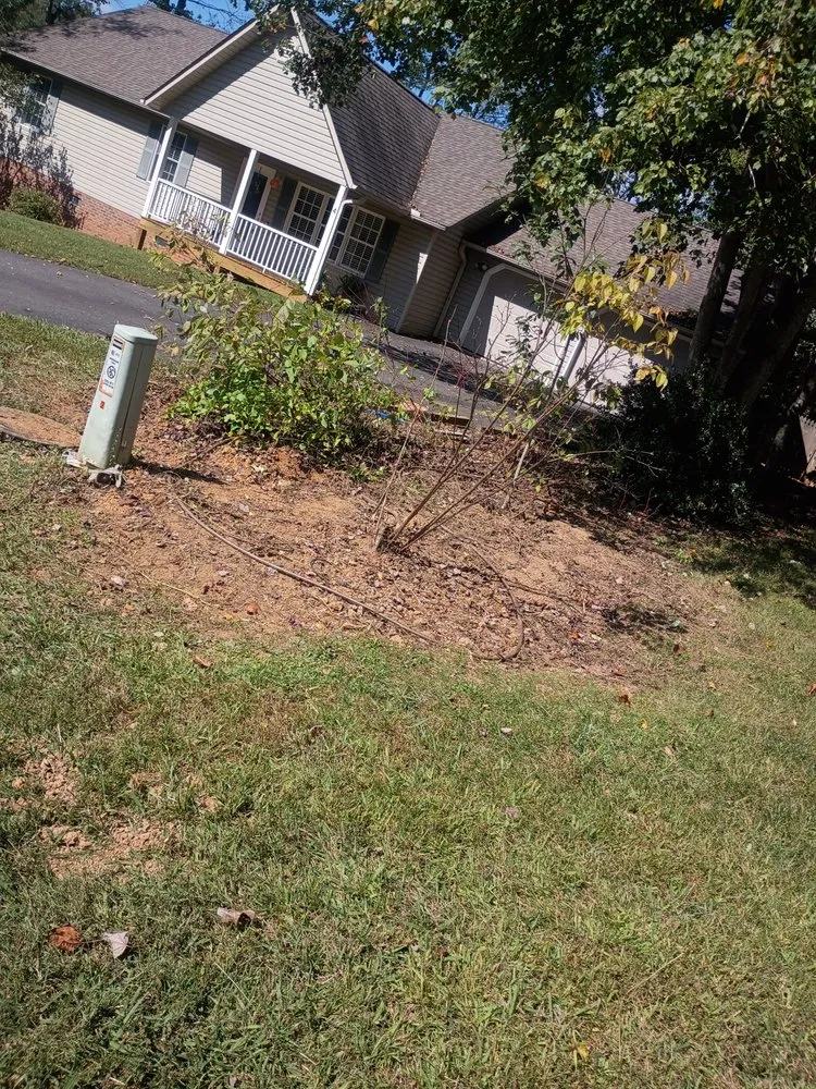 Reliable lawn care service for outdoor upgrades in Asheville, NC by Torres Lawncare & More